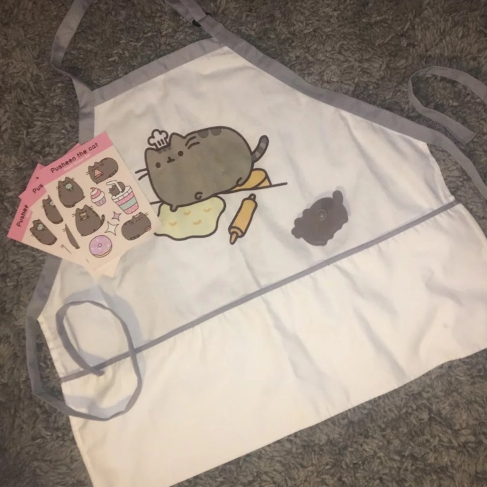 (5) Pusheen exclusive